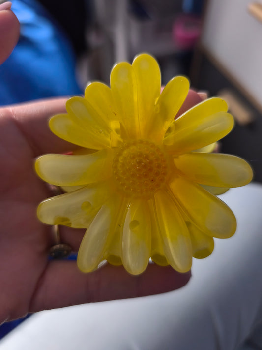 Pince Coloré
