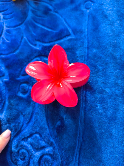 Pince Coloré