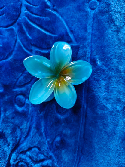 Pince Coloré