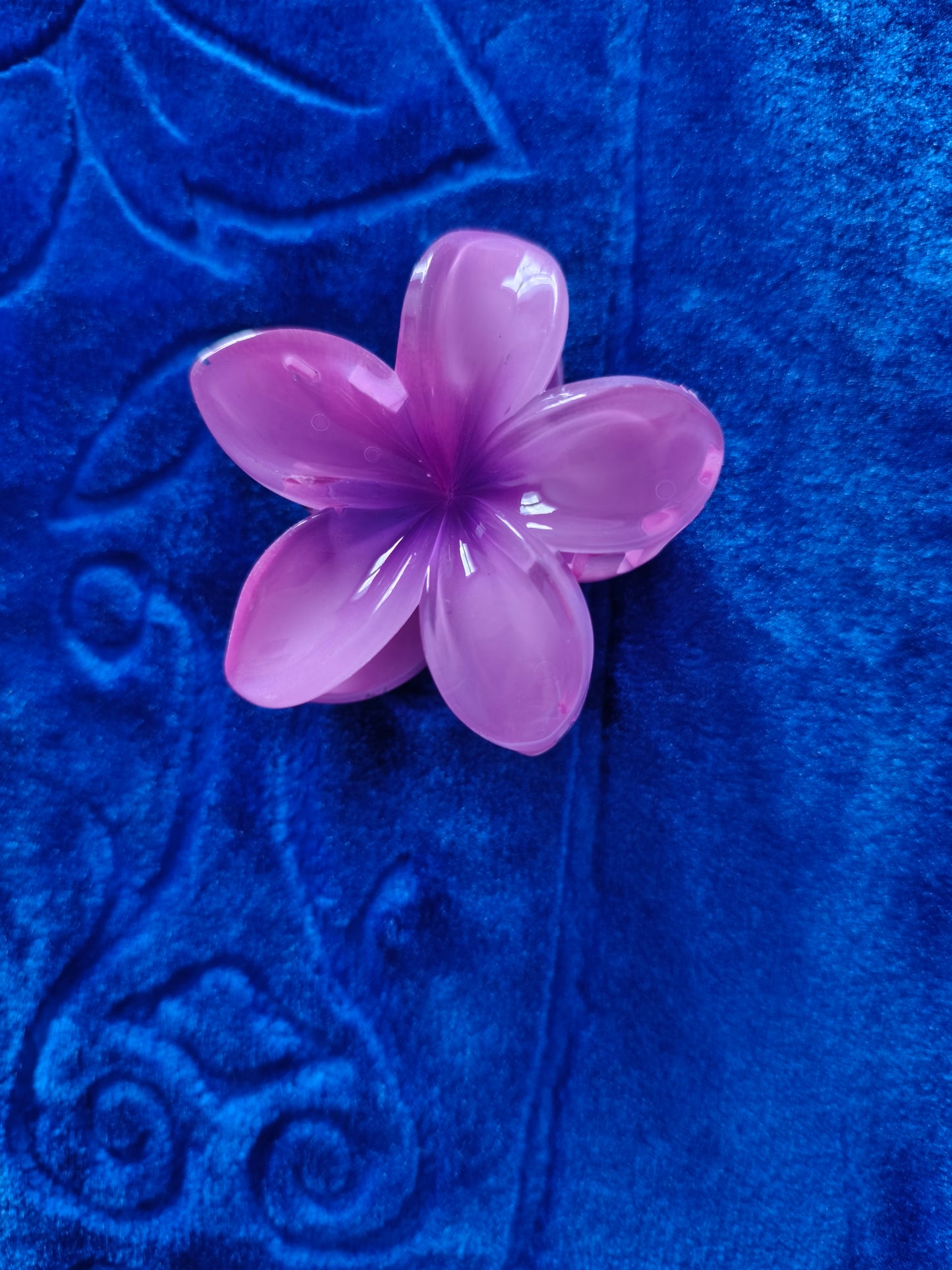 Pince Coloré