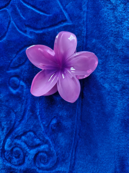 Pince Coloré
