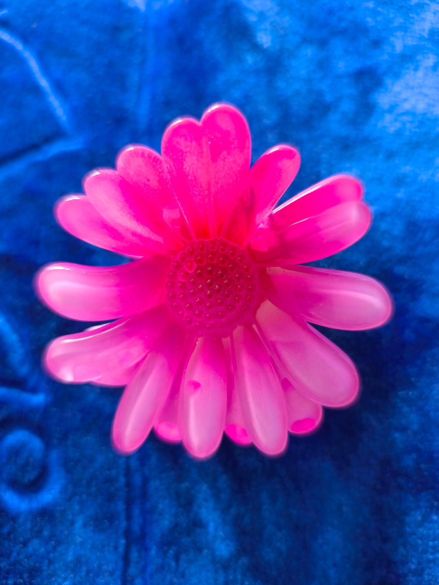 Pince Coloré