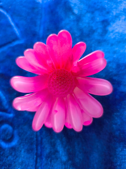 Pince Coloré