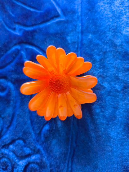 Pince Coloré