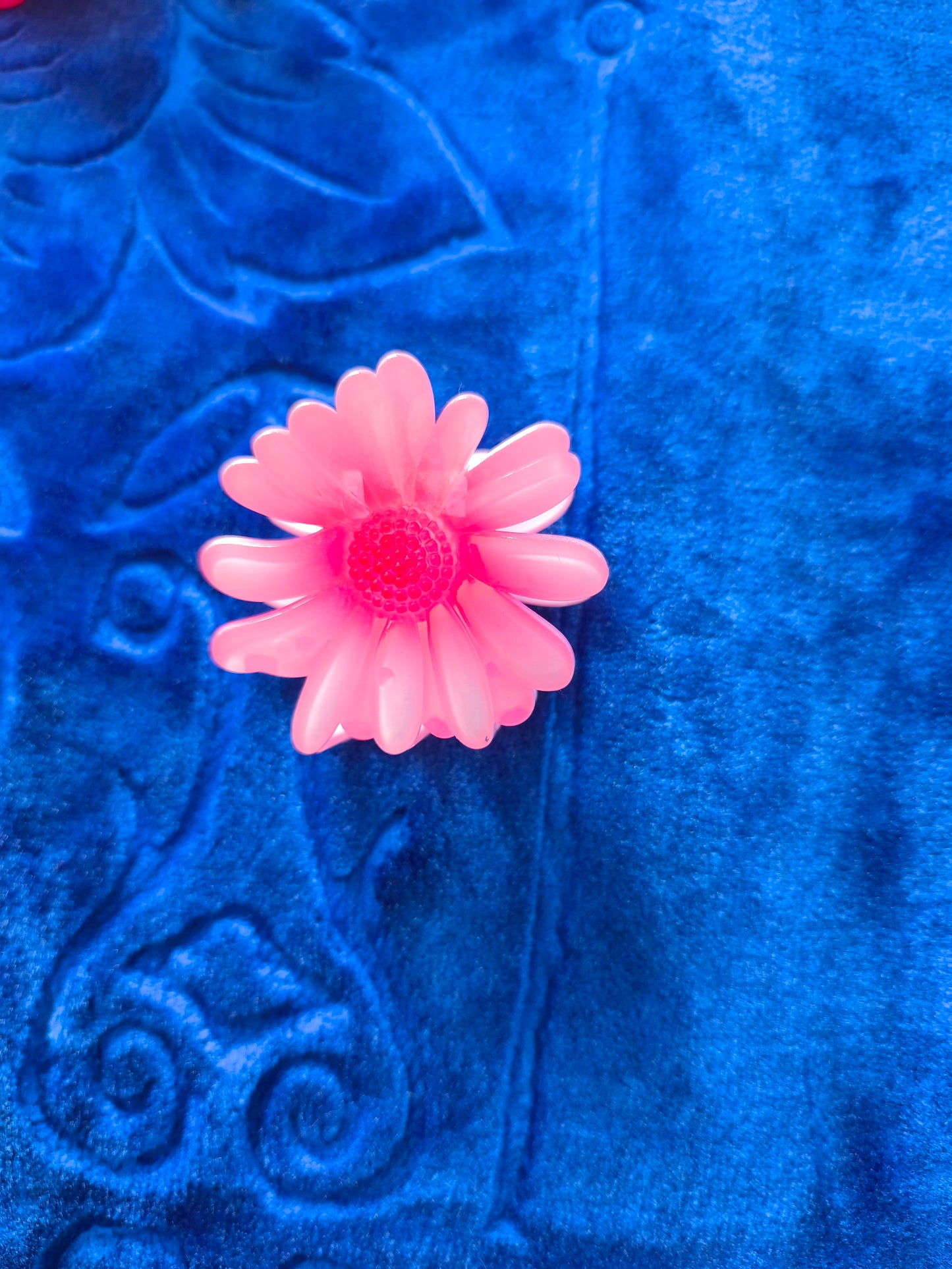 Pince Coloré